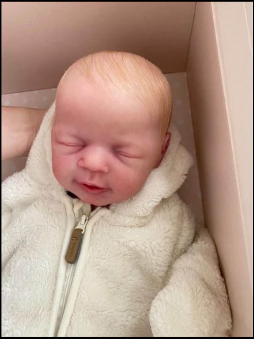 Leni reborn full silicone doll